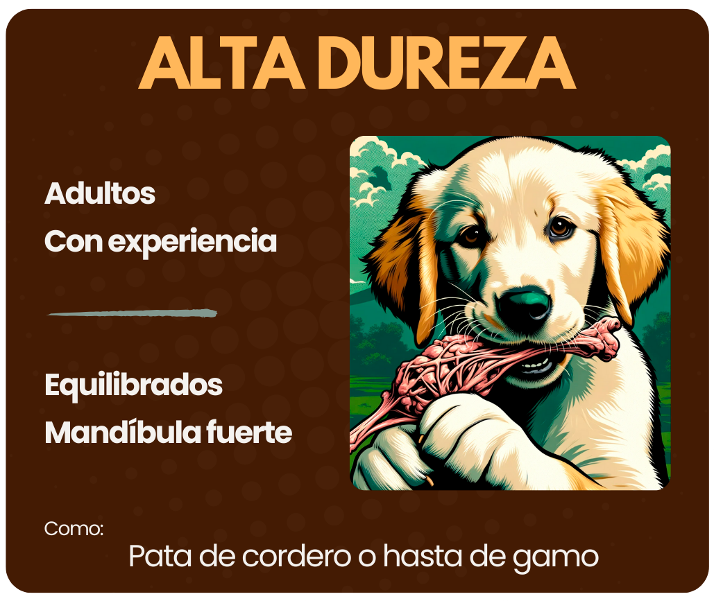 infografia alta dureza