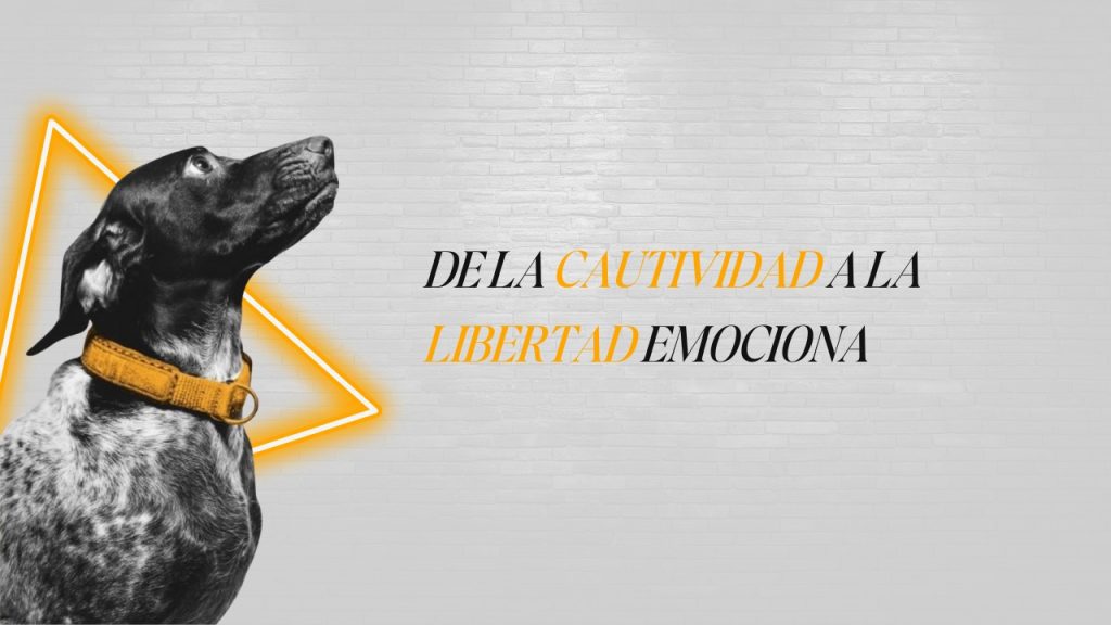 Perro interactuando libremente con otro en un entorno natural, símbolo de comunicación canina y libertad emocional.