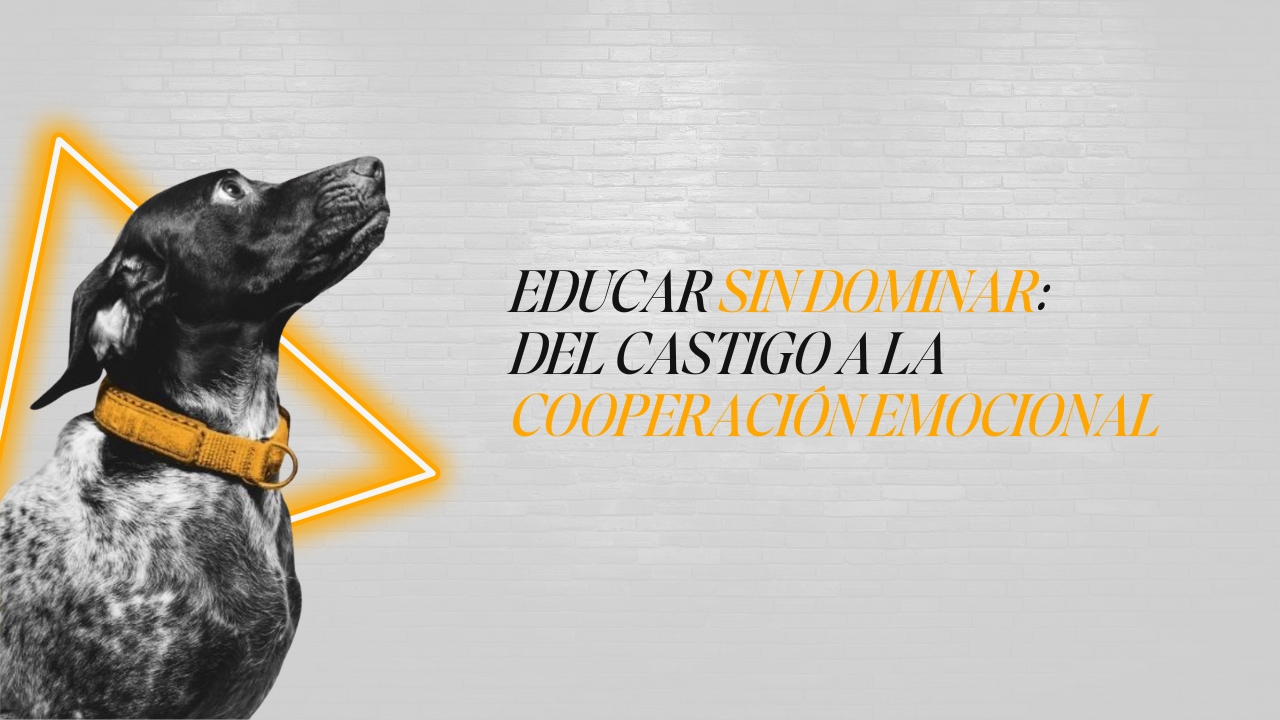 Perro en postura tranquila junto a su tutor, simbolizando la educación sin castigos y la cooperación emocional.