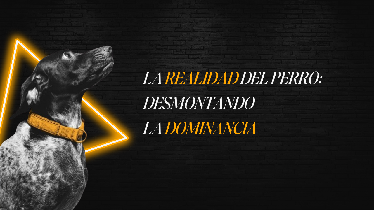 Primer plano de una mano sosteniendo un libro abierto donde se lee texto sobre el comportamiento canino y la dominancia.