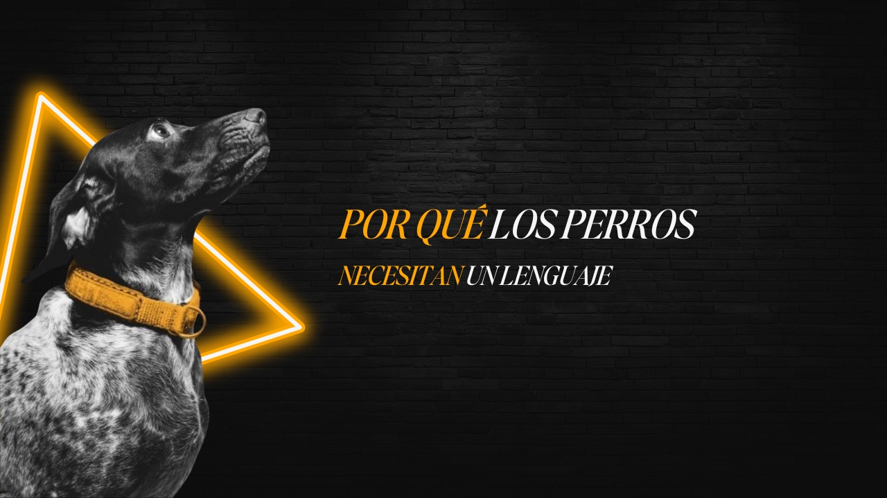 Educadora canina observando a su perro mientras se comunican con calma y respeto. Representa la importancia del lenguaje corporal en la convivencia.