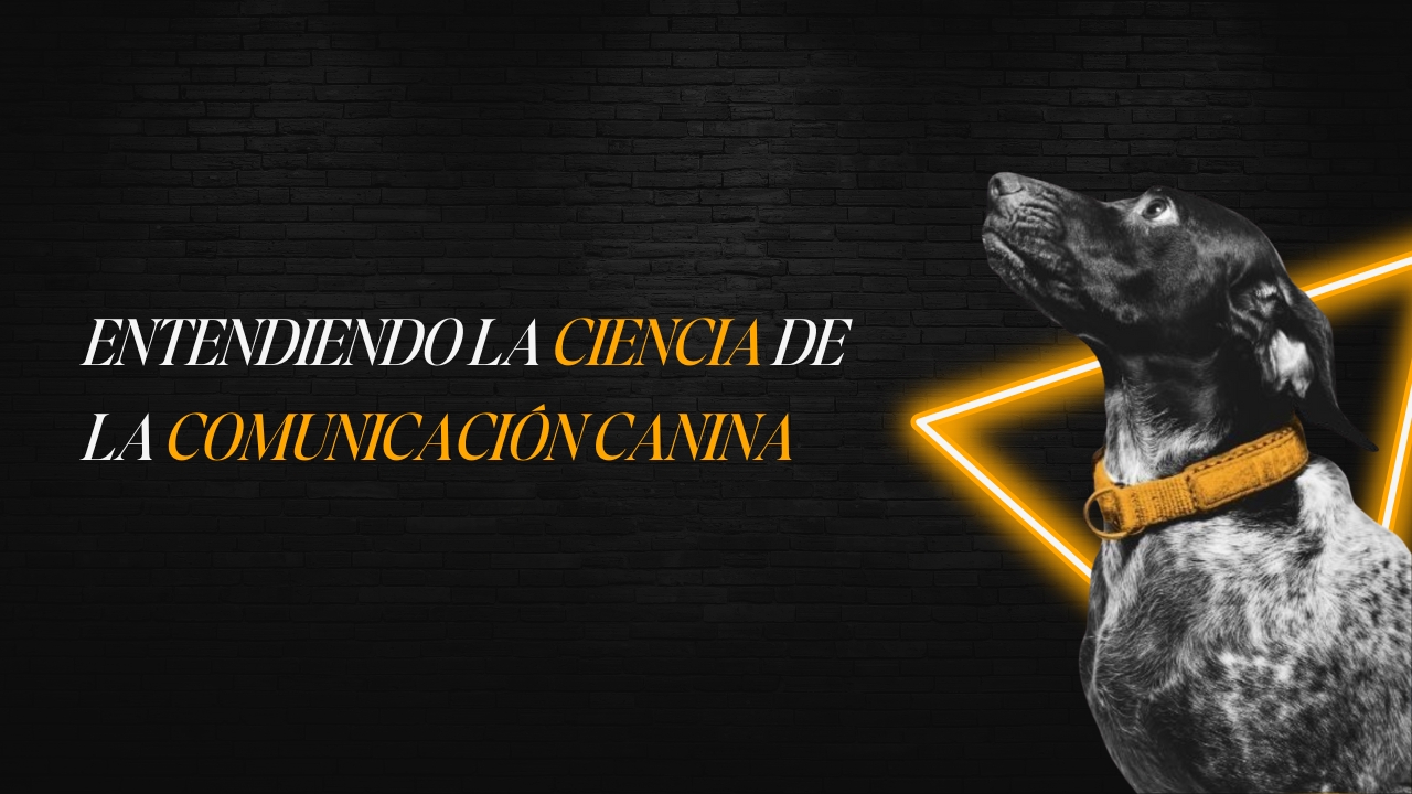 Dos perros de diferentes razas interactuando pacíficamente, representando la comunicación intraespecífica.