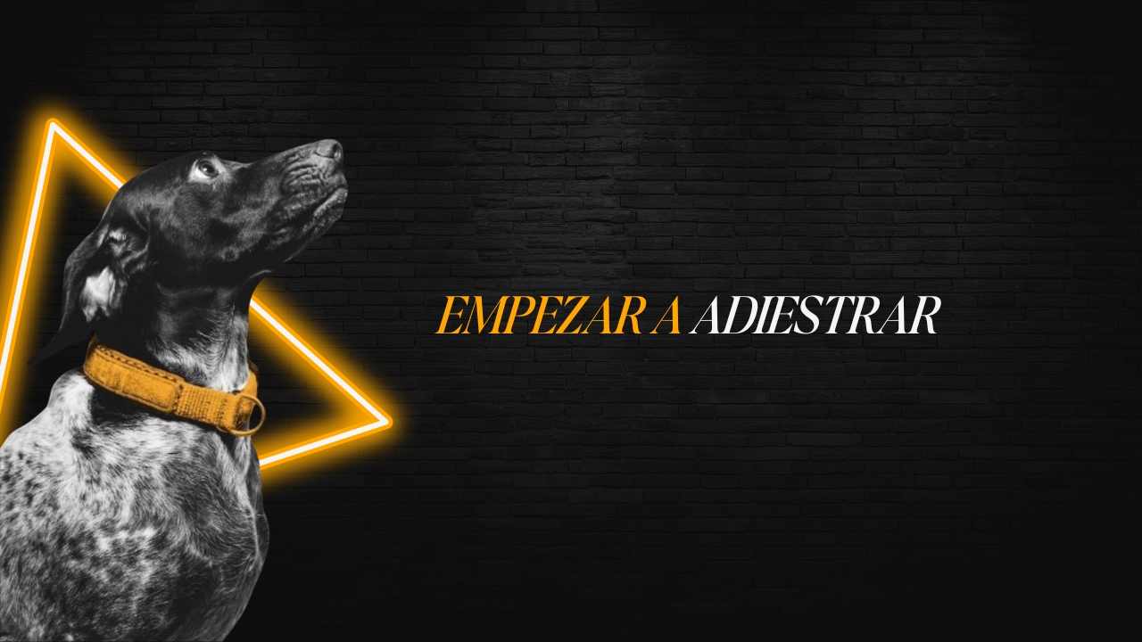 Educadora canina joven enseñando a un perro con calma y refuerzo positivo, simbolizando la edad ideal para empezar la educación canina.