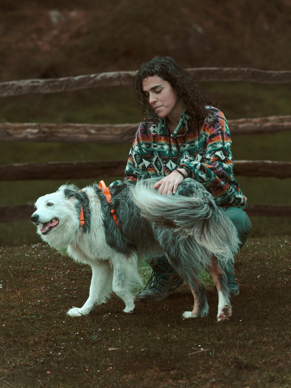 Sesión de educación canina respetuosa en Barcelona, acompañando al perro desde la observación y la comprensión de su comportamiento