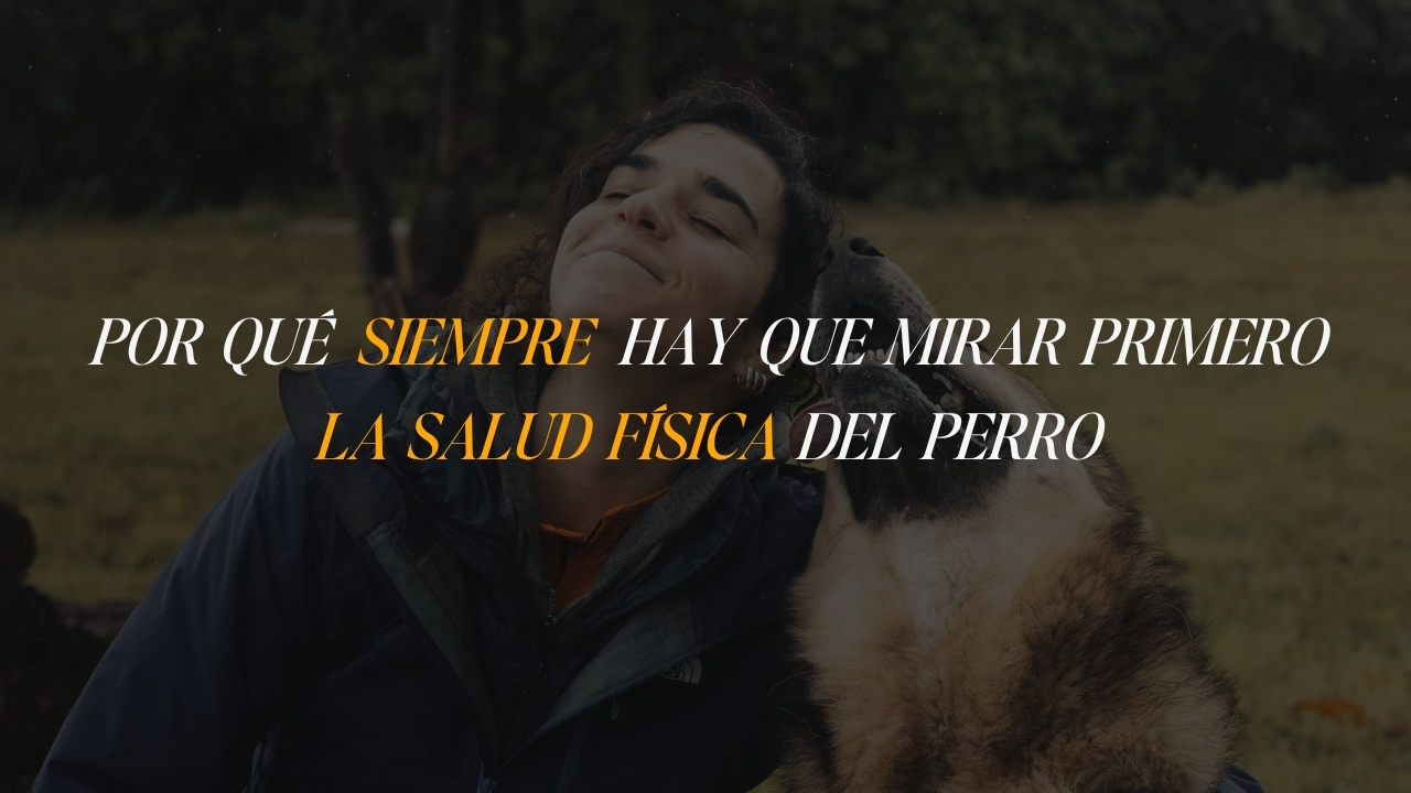 Perro acompañado por su tutora durante un paseo, representando la conexión entre salud física, conducta y bienestar emocional.