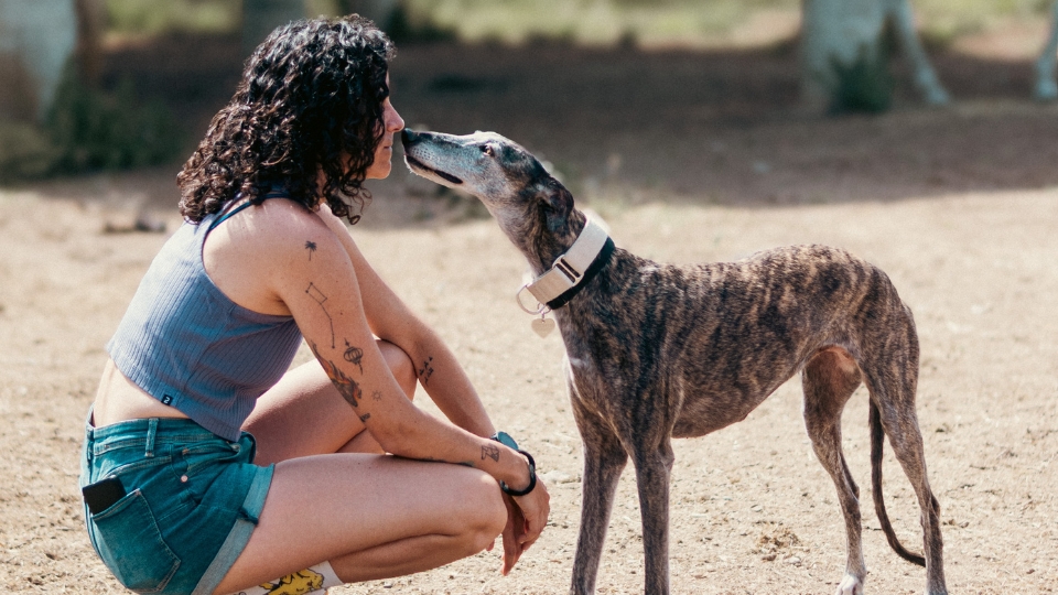 Educadora canina Nei Fuentes recibiendo un beso de un galgo atigrado durante una sesión de cuidado a domicilio en Barcelona