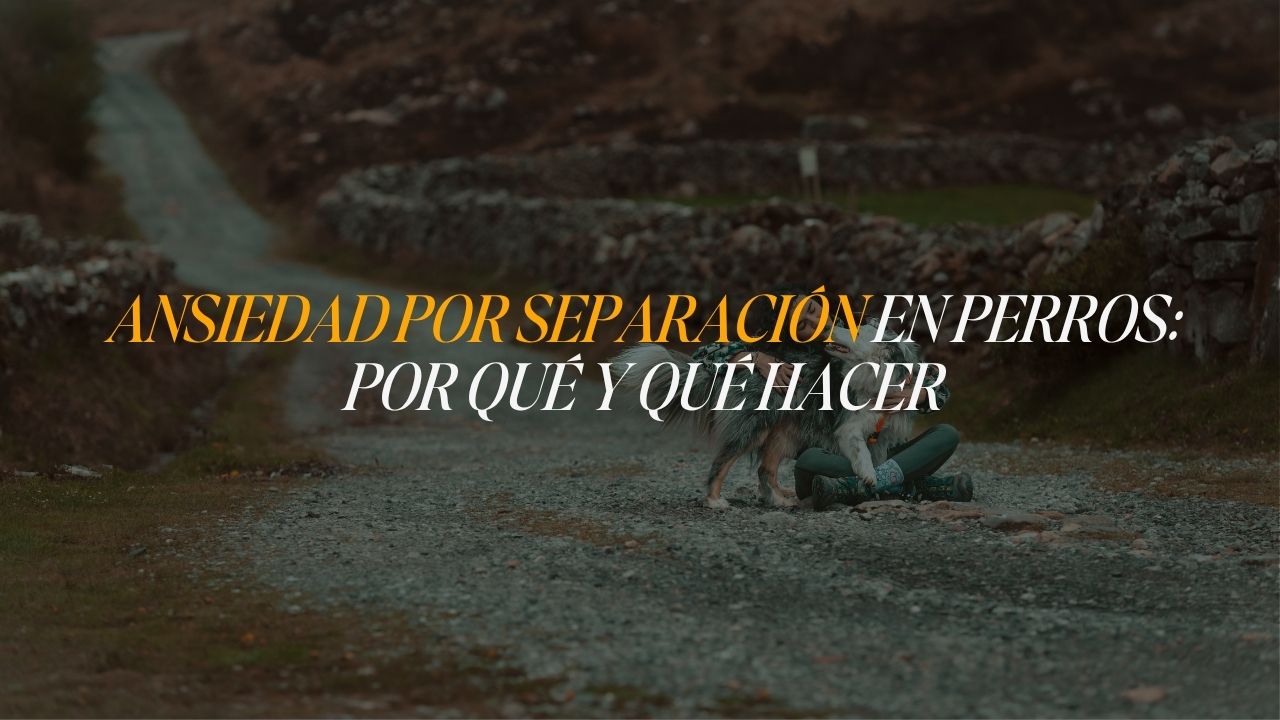 Nei Fuentes sentada en un camino de piedra abrazando a su perra Enya, un momento de vínculo y compañía