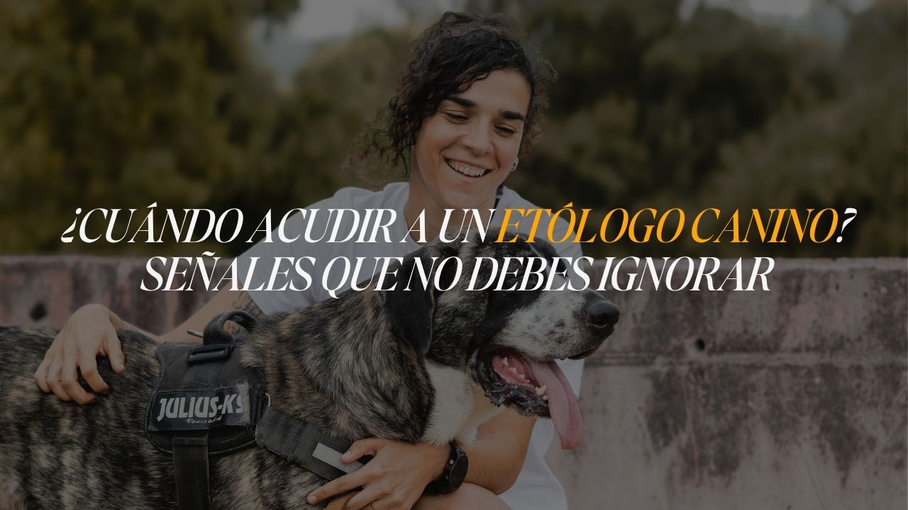 Nei Fuentes, educadora canina en Barcelona, con un perro durante una sesión de educación canina respetuosa