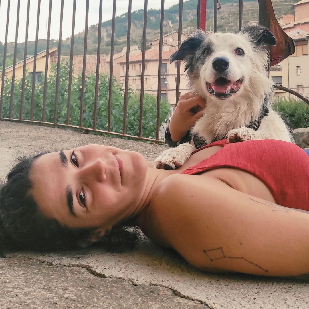 Border Collie en sesión de educación canina con El Perro Negro en Barcelona